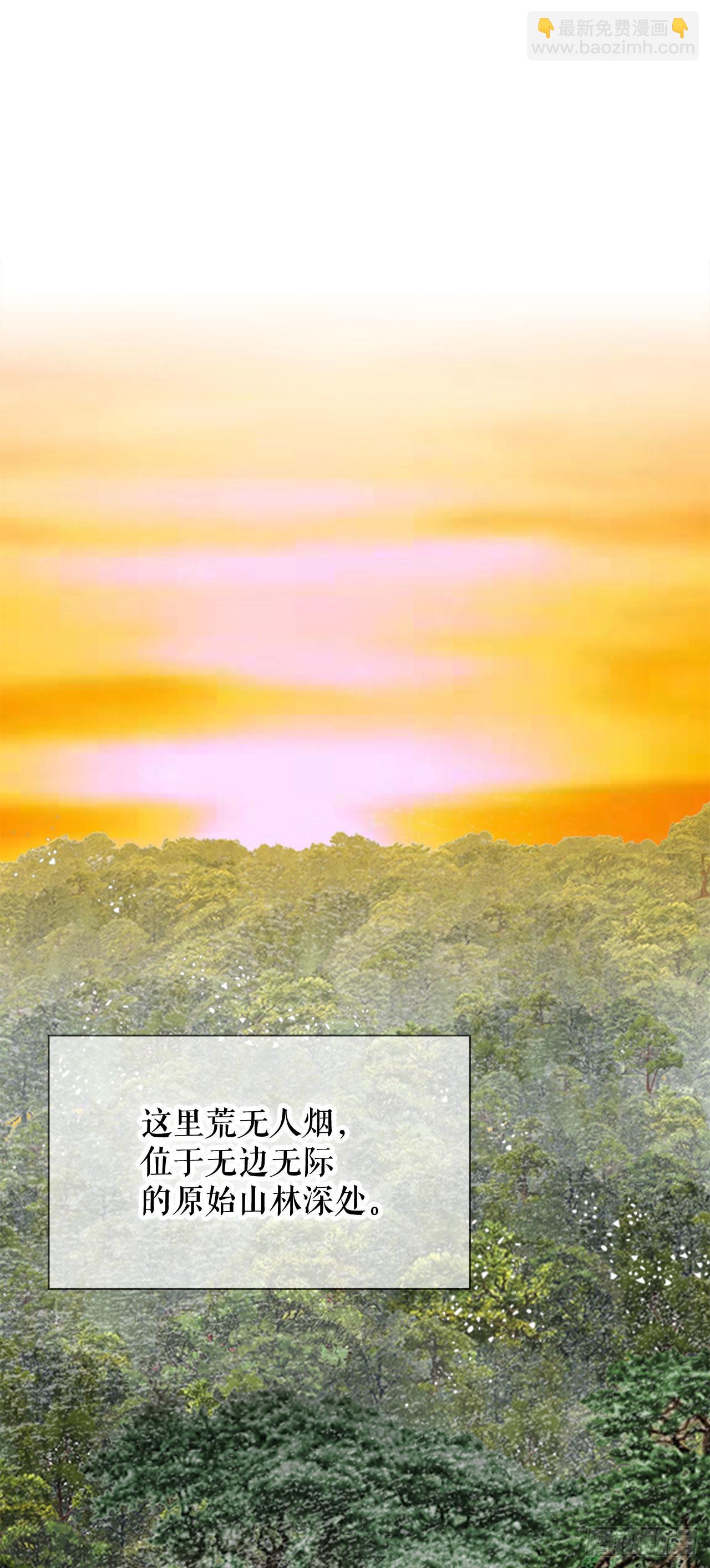8.野营30