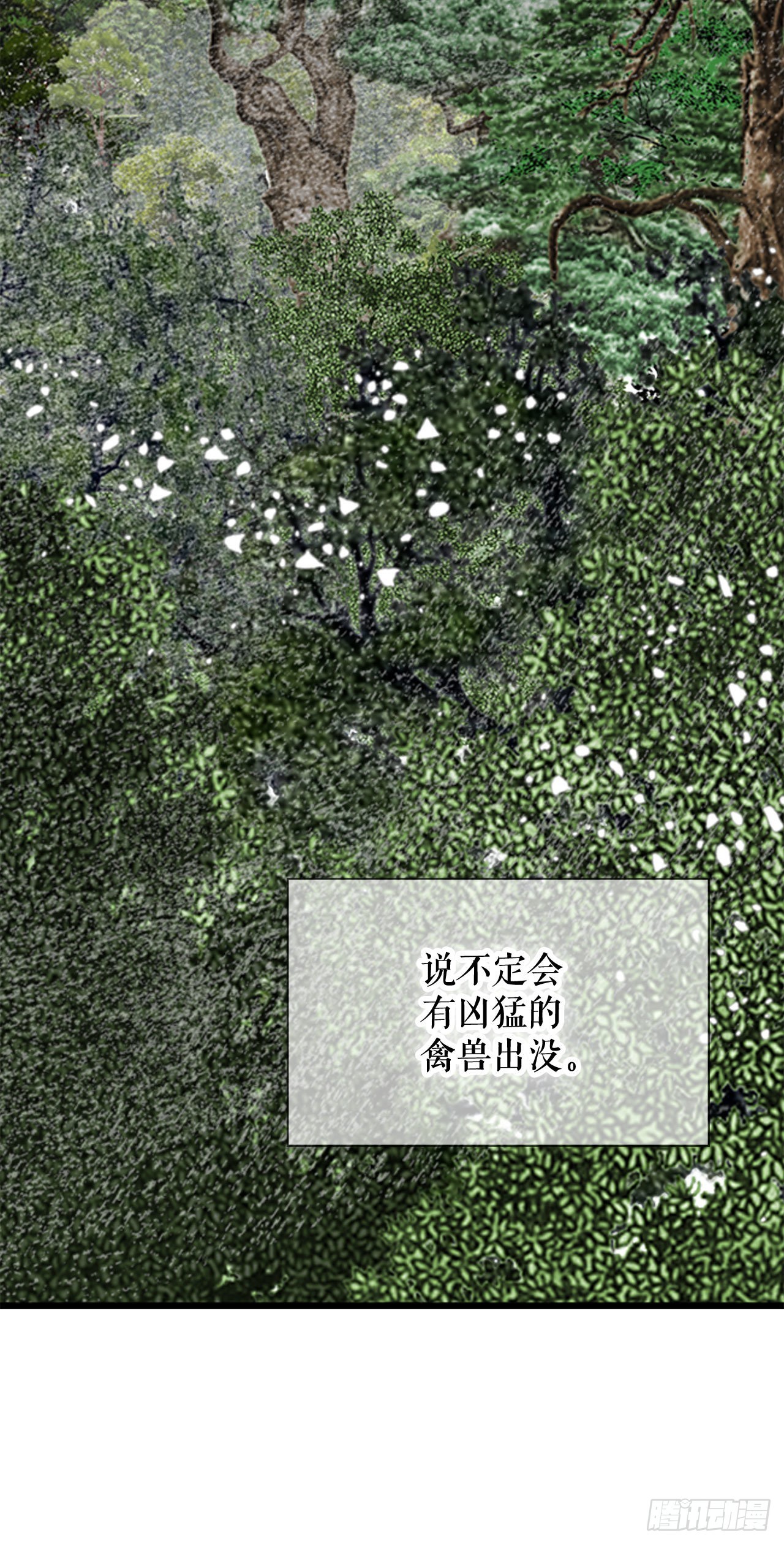8.野营31