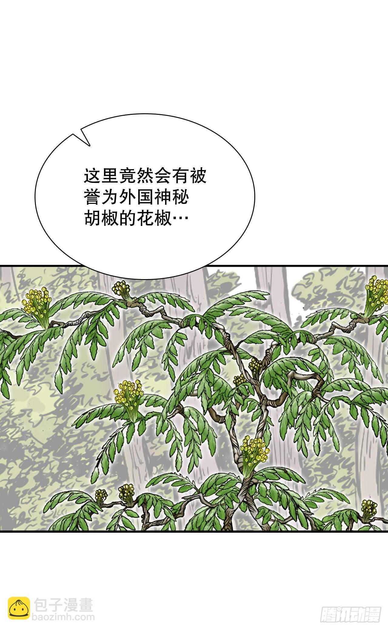8.野营76