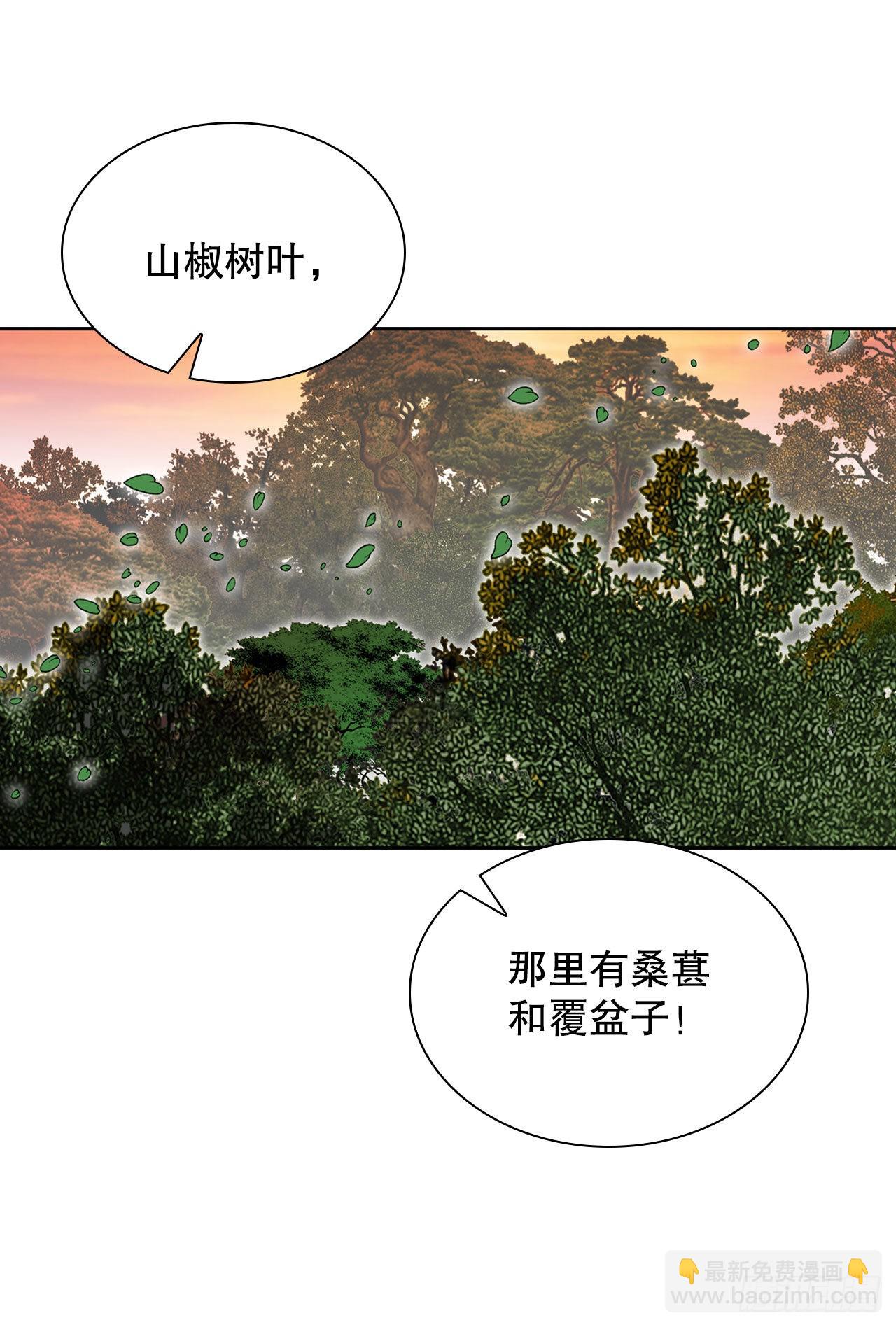 8.野营80