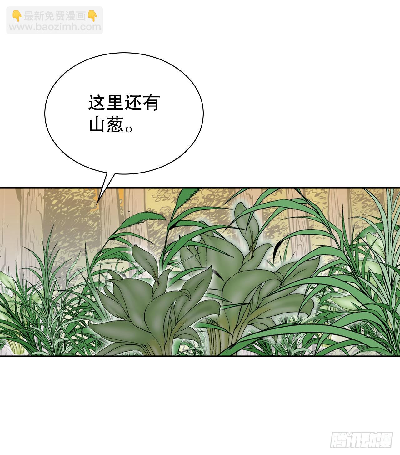 8.野营81