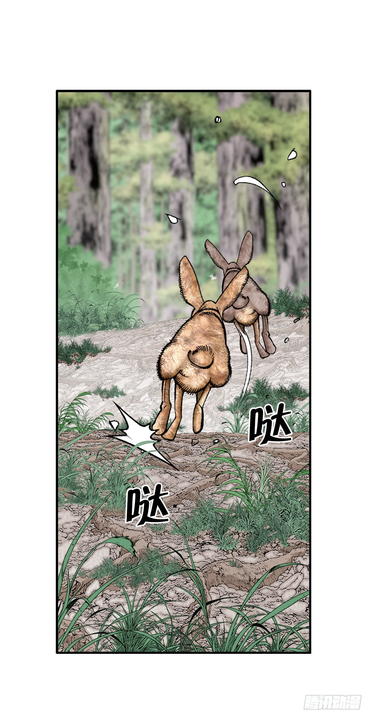 8.野营95