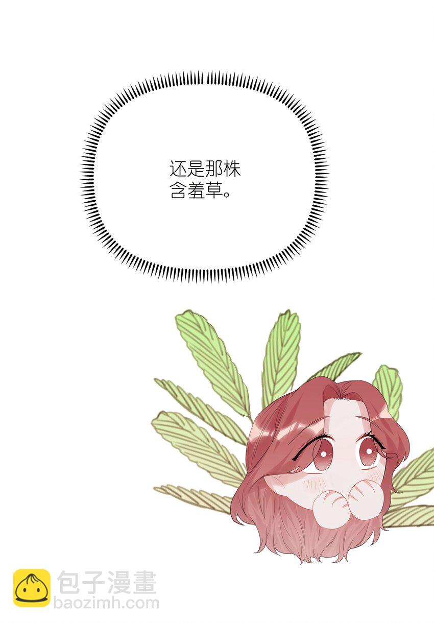 016 还是那颗含羞草35
