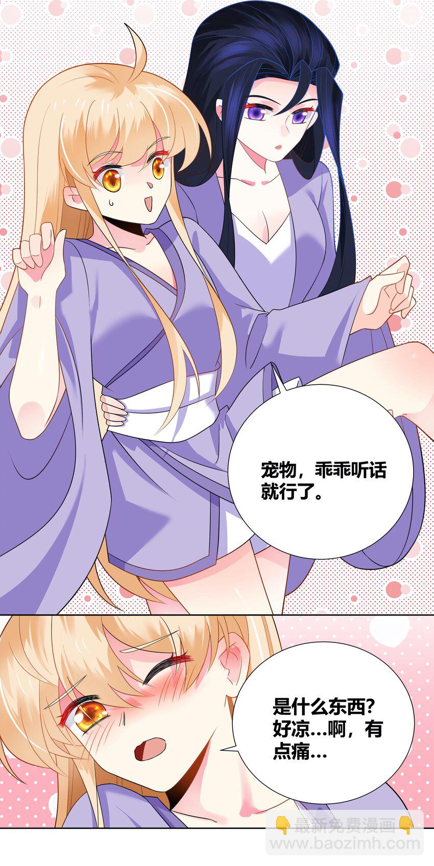 014 宠物契约22