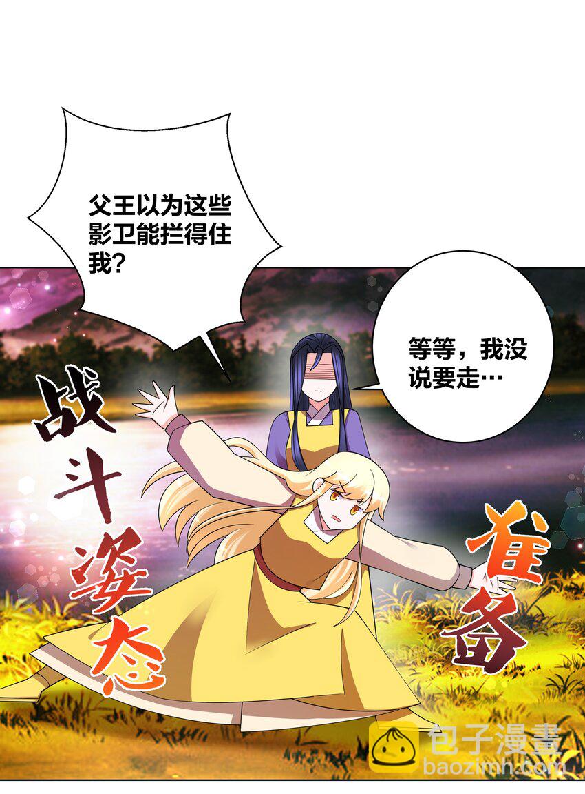 137 公主有妃7