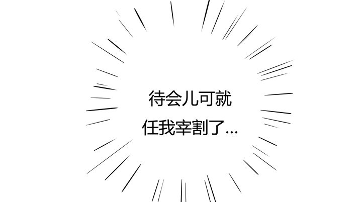 4话 你这撩人的小野猫14