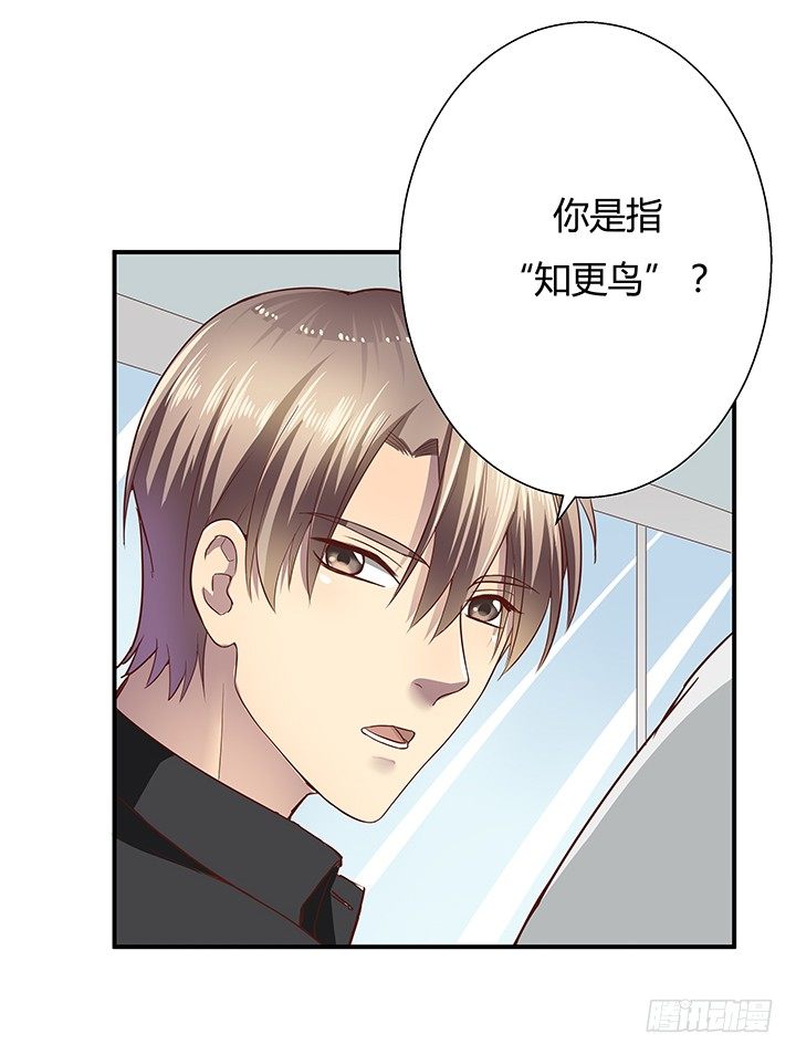 9话 这是对我们的挑衅么？11