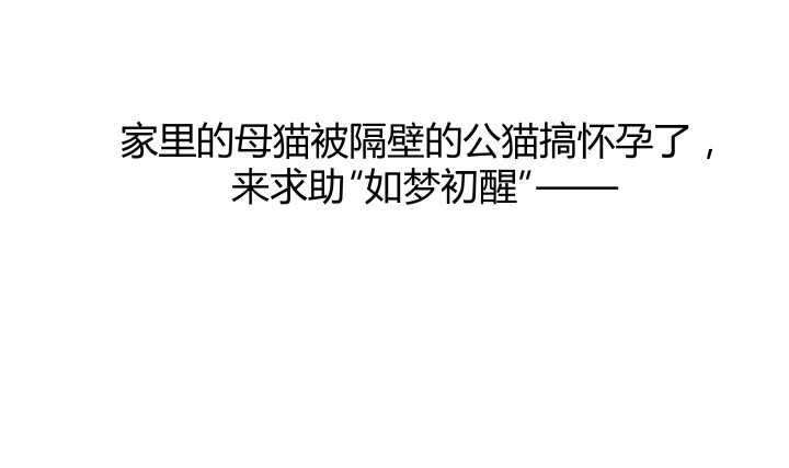 54话 家暴男友出现？15