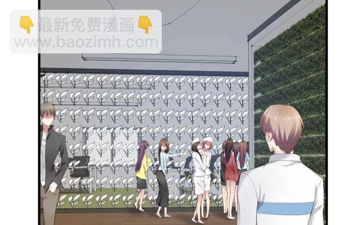 67话 粉丝效应8
