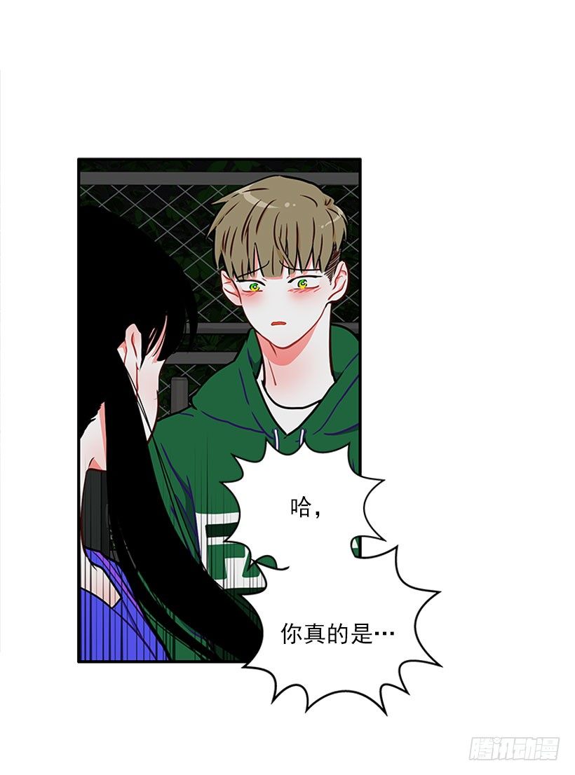 砰砰啪啪11