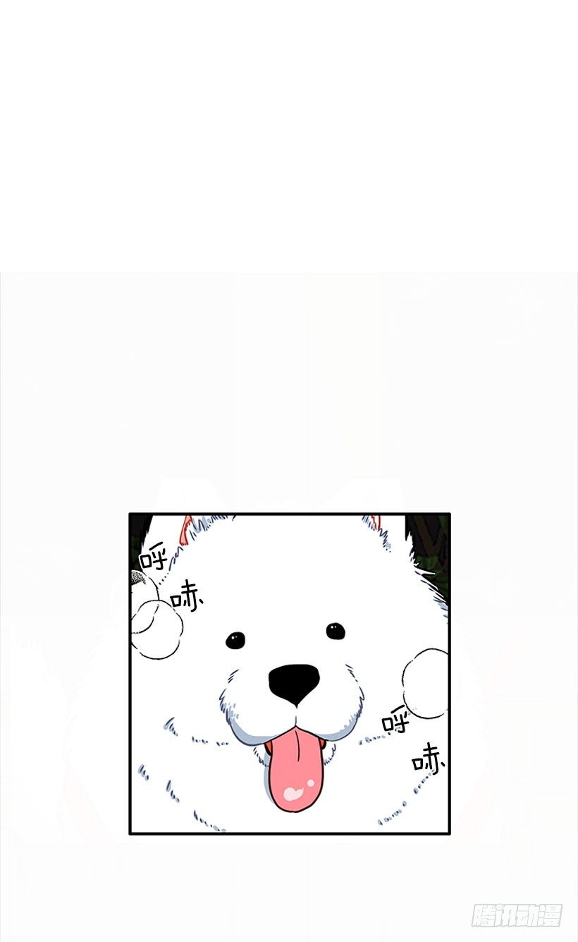 砰砰啪啪16