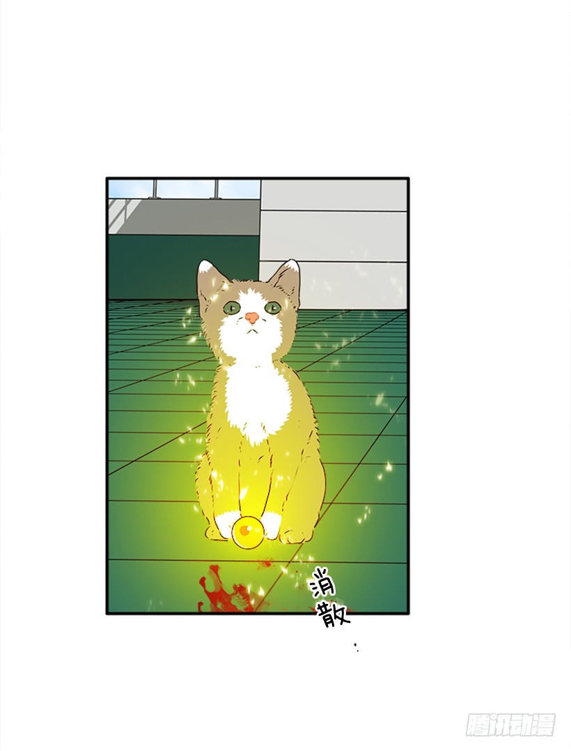 139.拼死相救47