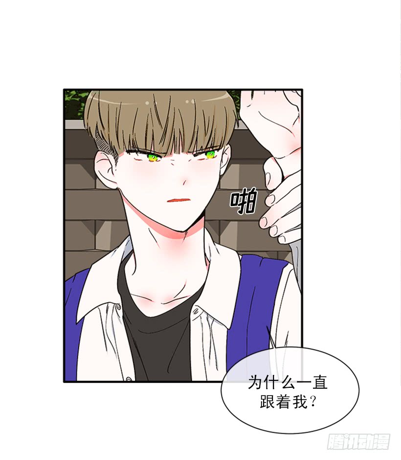 149.为什么一直跟着我？21
