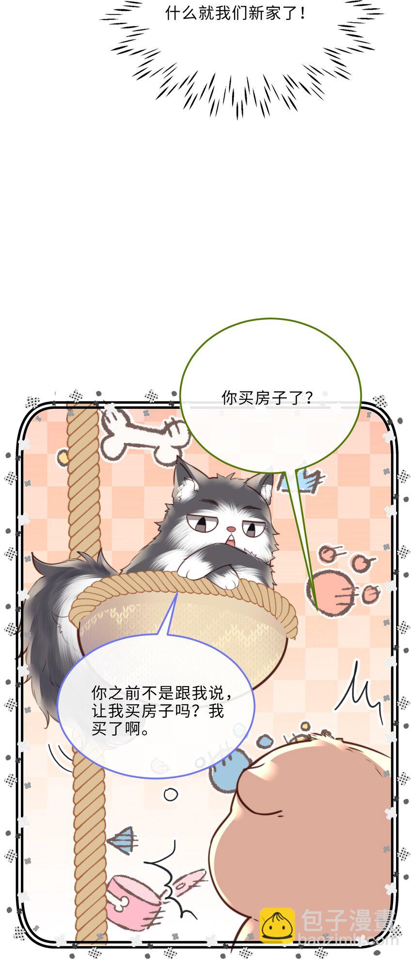 080 金总的行动力真强啊！23