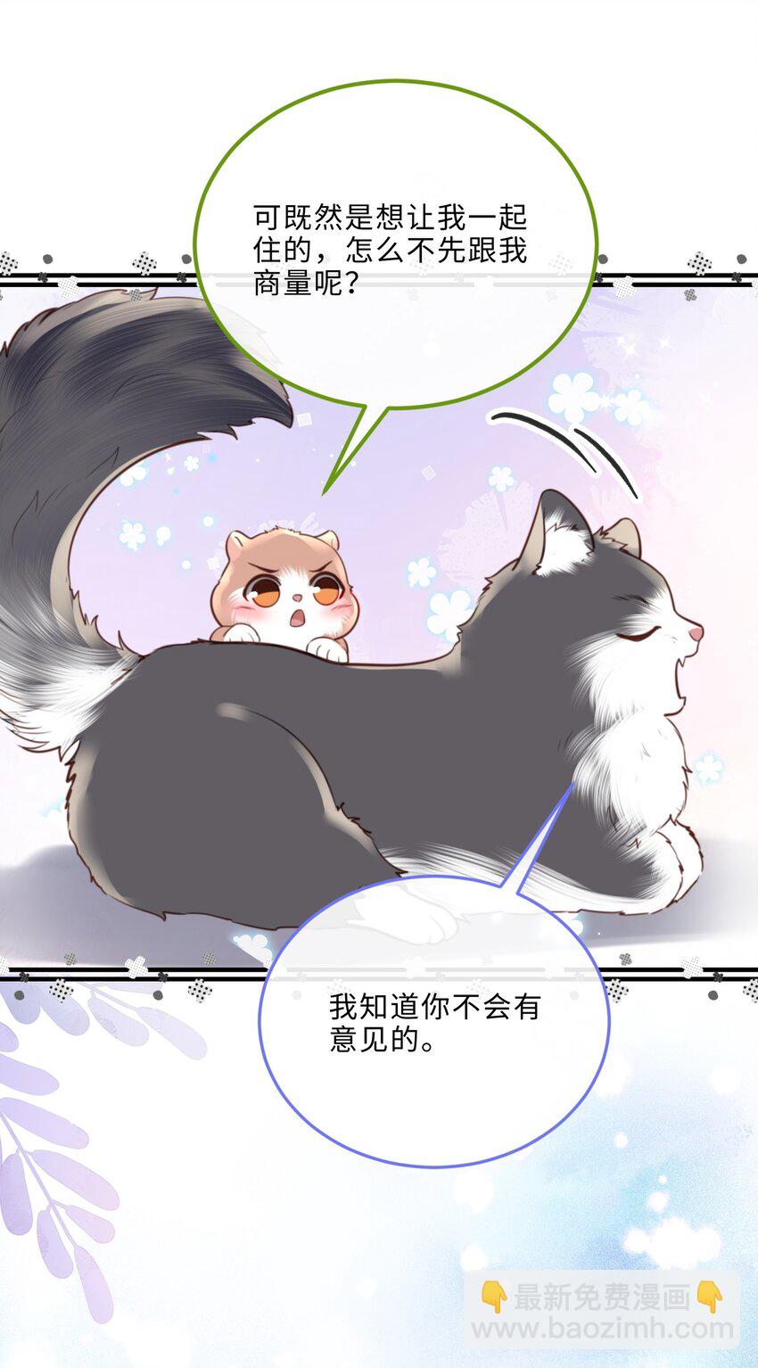 080 金总的行动力真强啊！25