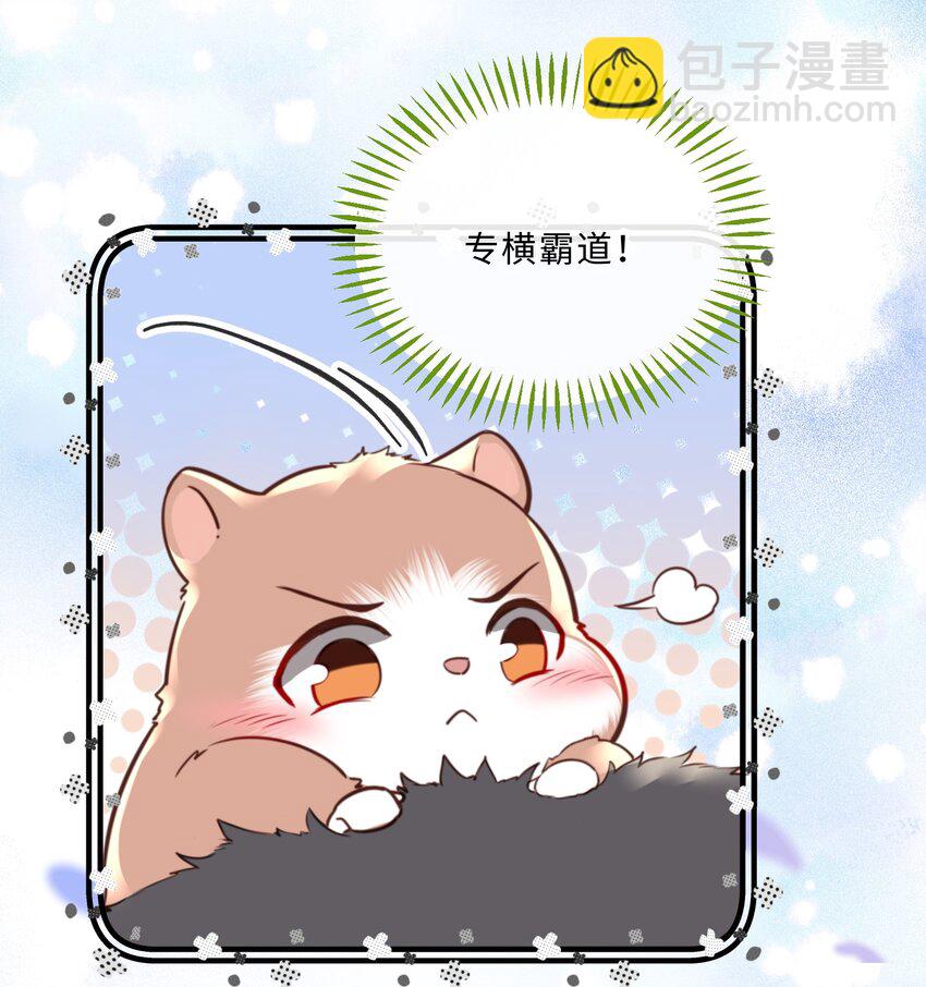 080 金总的行动力真强啊！26
