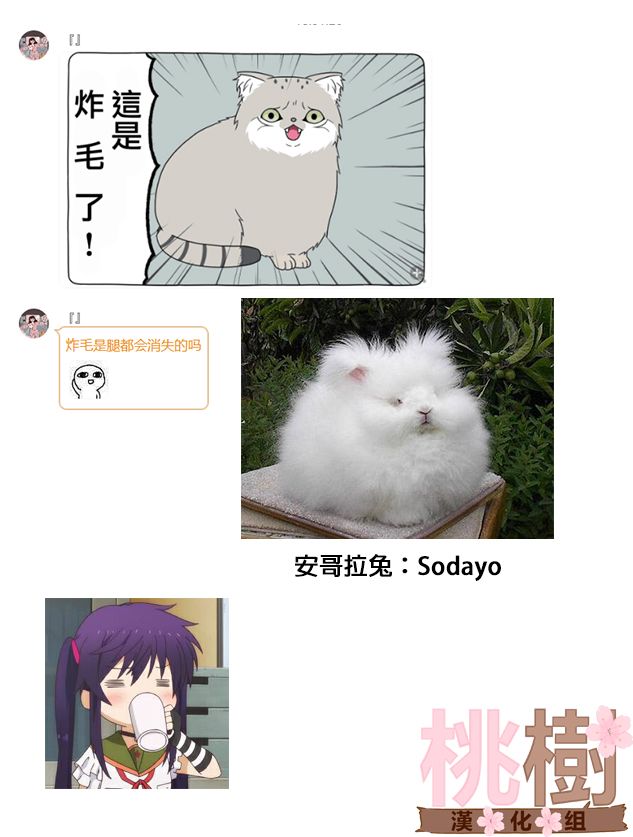 14话6