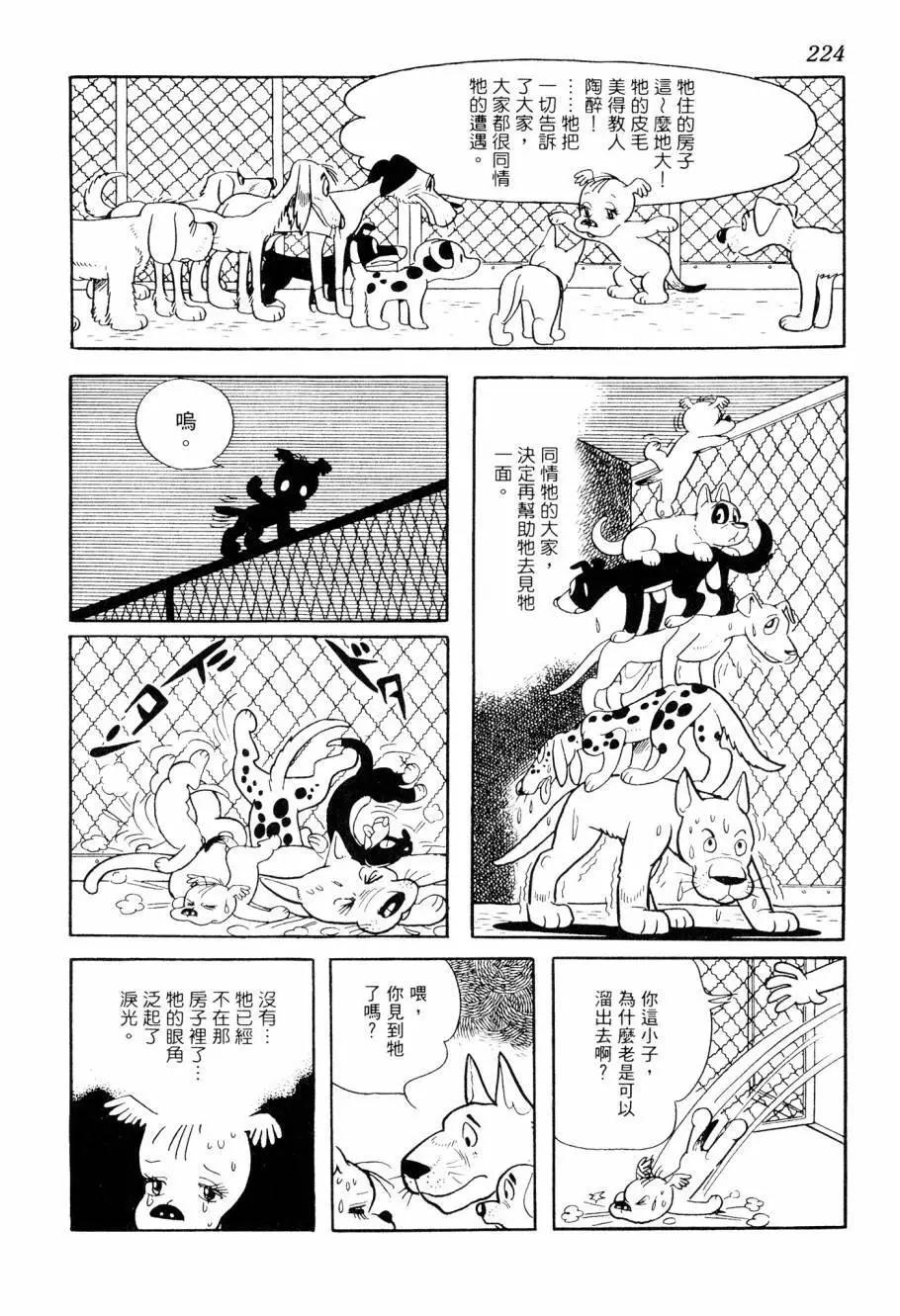 第07卷240