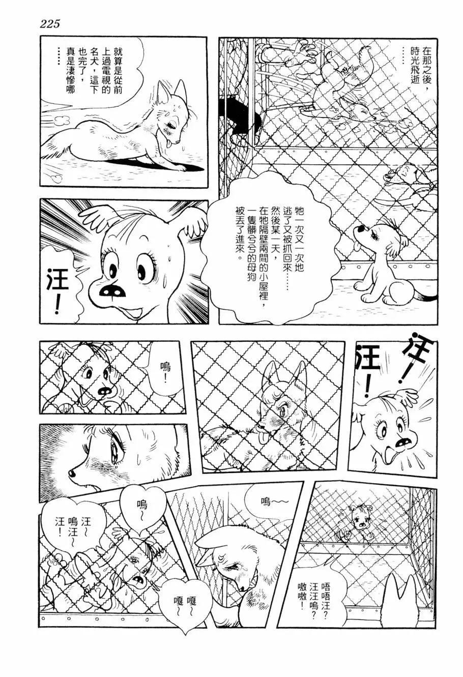 第07卷241
