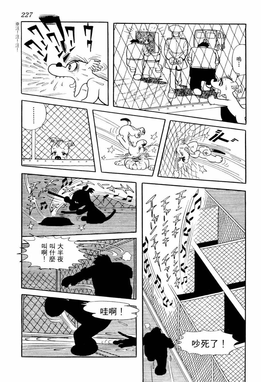 第07卷243